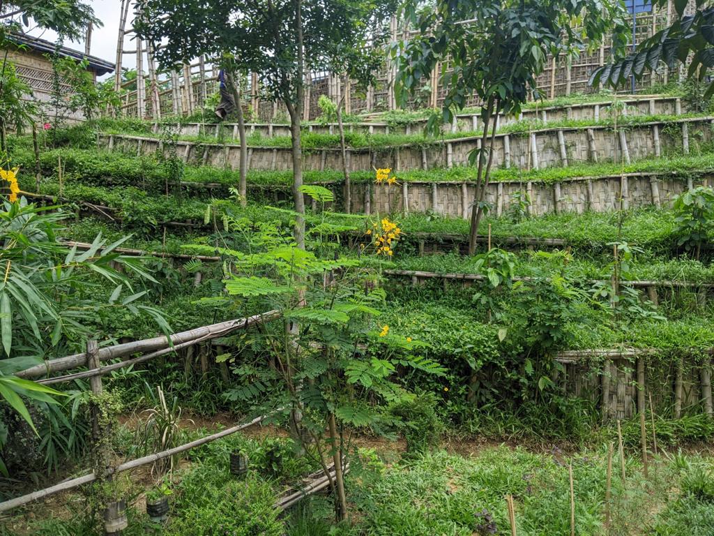 Green Hub